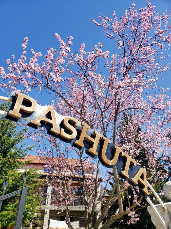 Hotel Pashuta Voskopojë Zewnętrze zdjęcie